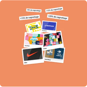 E-cartes cadeaux de grandes enseignes comme IKEA, Decathlon, Nike, Carrefour et Auchan.